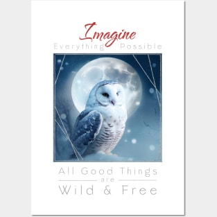 Owl Nature Outdoor Imagine Wild Free Posters and Art